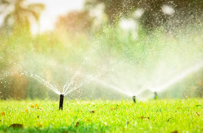 Lawn Irrigation Installation