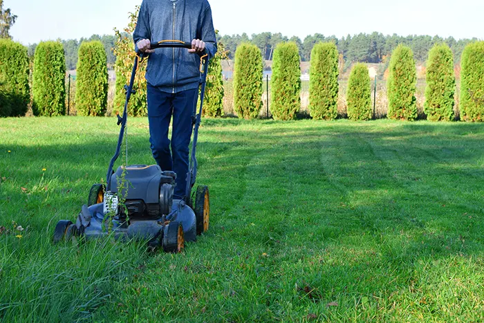 Lawn Mowing in Richmond, CA