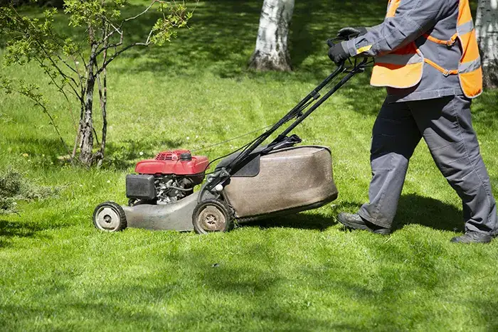 Lawn Mowing in Richmond, CA