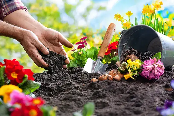 Mulching in Richmond, CA