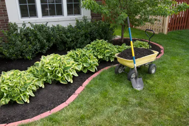 Mulching in Richmond, CA