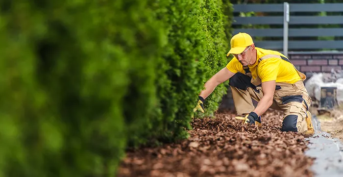 Mulching