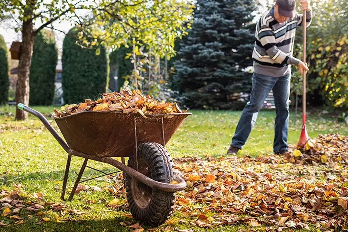 Yard Cleanup in Richmond, CA