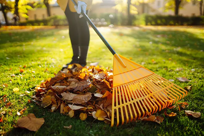 Yard Cleanup in Richmond, CA